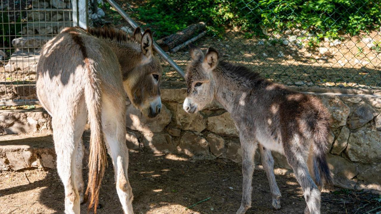 Casa Rural La Chocolateria Horche Kültér fotó