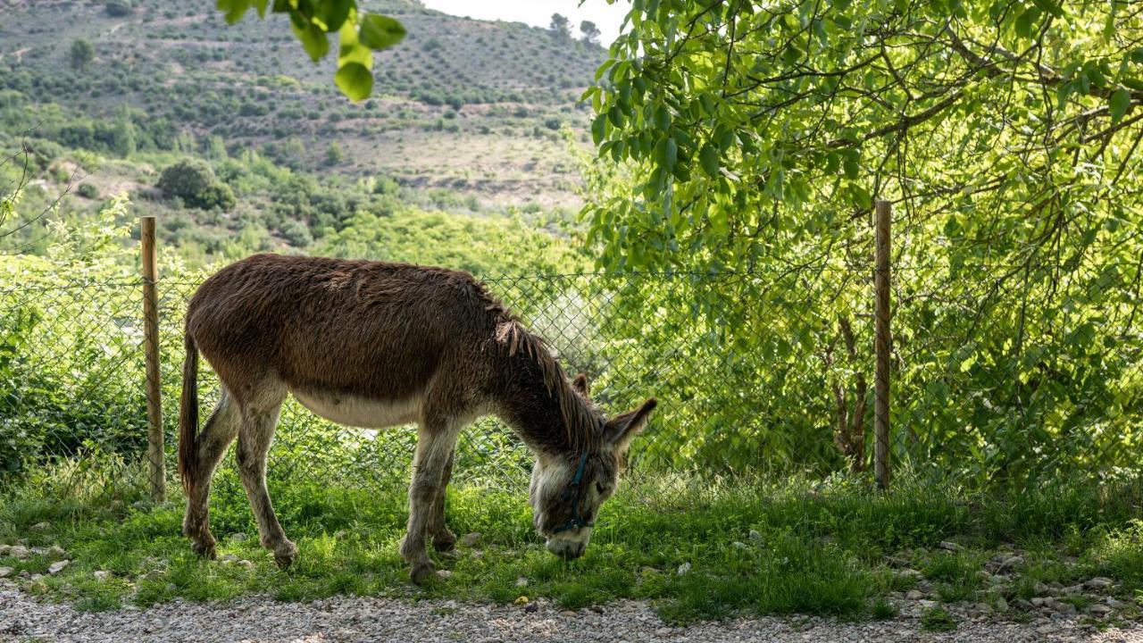 Casa Rural La Chocolateria Horche Kültér fotó